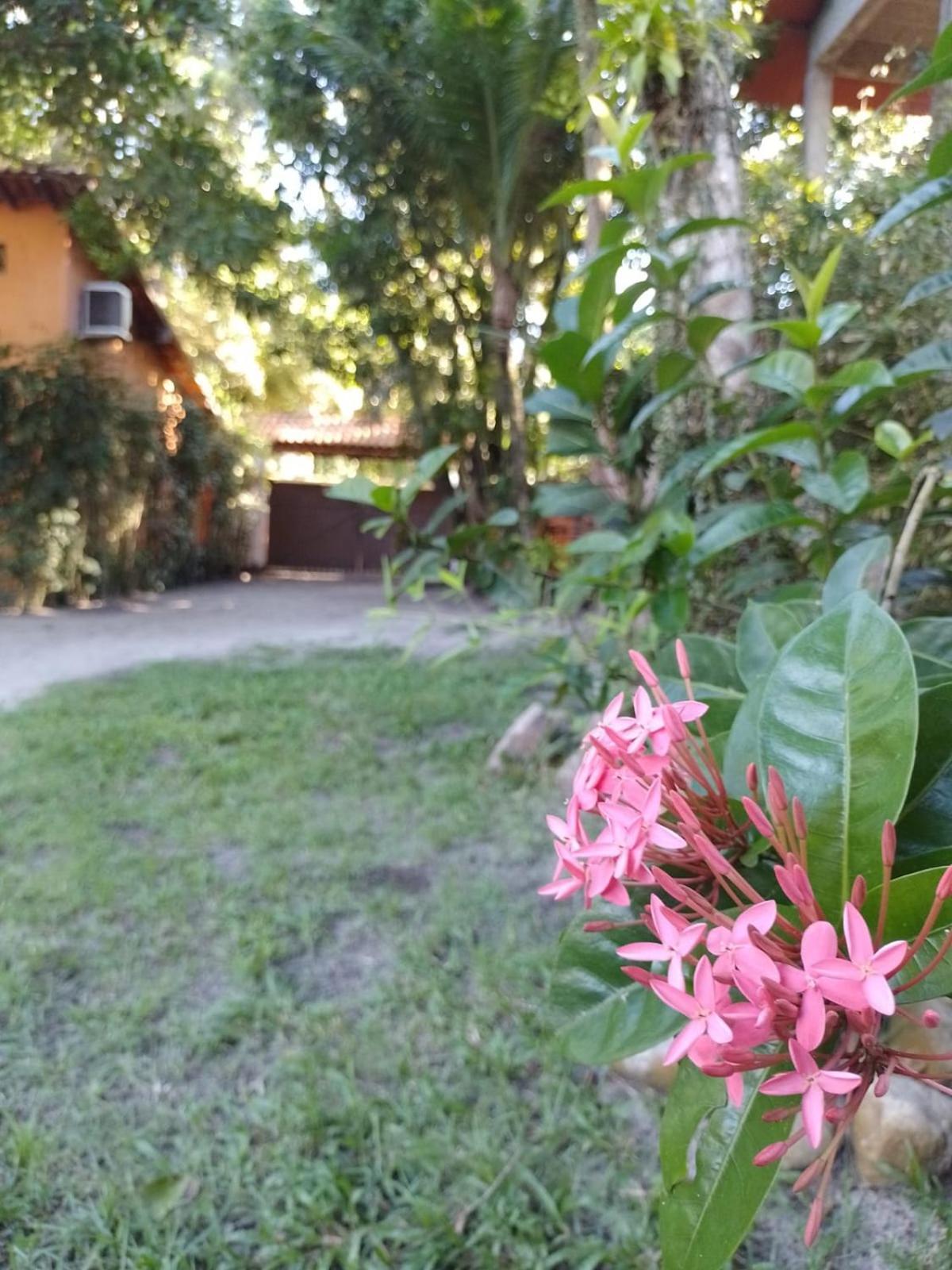 Ôxe Uai Hostel Porto Seguro Extérieur photo